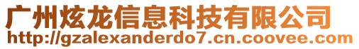 廣州炫龍信息科技有限公司