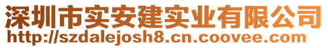 深圳市實(shí)安建實(shí)業(yè)有限公司