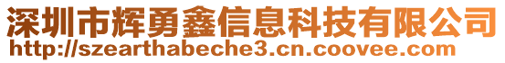 深圳市輝勇鑫信息科技有限公司