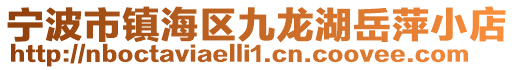 寧波市鎮(zhèn)海區(qū)九龍湖岳萍小店