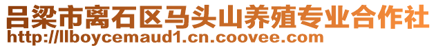 呂梁市離石區(qū)馬頭山養(yǎng)殖專業(yè)合作社