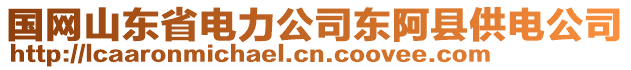 國(guó)網(wǎng)山東省電力公司東阿縣供電公司