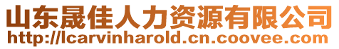 山東晟佳人力資源有限公司