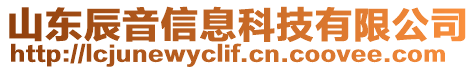 山東辰音信息科技有限公司