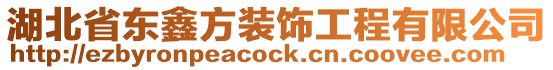湖北省東鑫方裝飾工程有限公司