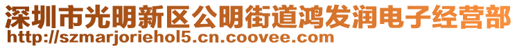 深圳市光明新區(qū)公明街道鴻發(fā)潤電子經(jīng)營部