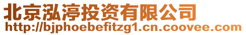 北京泓渟投資有限公司