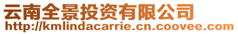 云南全景投資有限公司