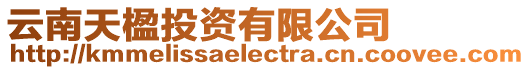 云南天楹投資有限公司