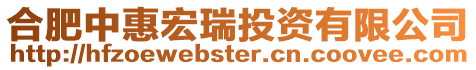 合肥中惠宏瑞投資有限公司
