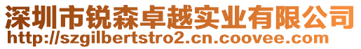 深圳市銳森卓越實業有限公司