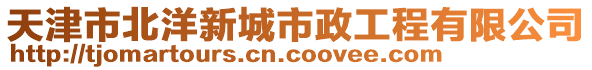 天津市北洋新城市政工程有限公司