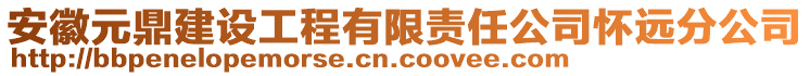 安徽元鼎建設(shè)工程有限責(zé)任公司懷遠(yuǎn)分公司