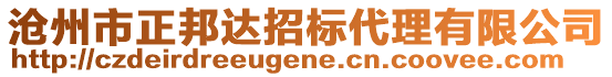 滄州市正邦達(dá)招標(biāo)代理有限公司