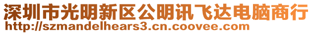 深圳市光明新區(qū)公明訊飛達電腦商行