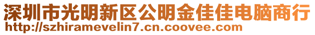 深圳市光明新區(qū)公明金佳佳電腦商行