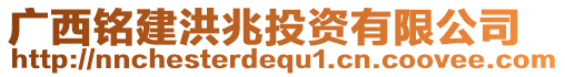 廣西銘建洪兆投資有限公司