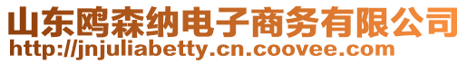 山東鷗森納電子商務(wù)有限公司