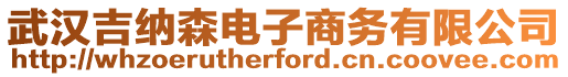 武漢吉納森電子商務有限公司
