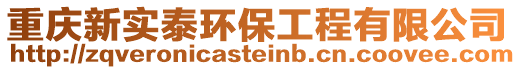 重慶新實泰環(huán)保工程有限公司