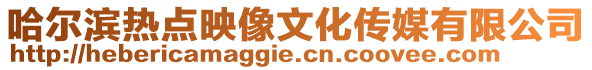 哈爾濱熱點映像文化傳媒有限公司