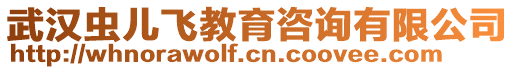 武漢蟲兒飛教育咨詢有限公司
