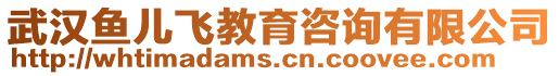 武漢魚兒飛教育咨詢有限公司