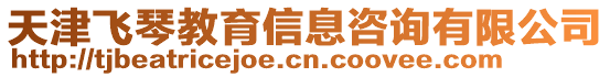 天津飛琴教育信息咨詢有限公司