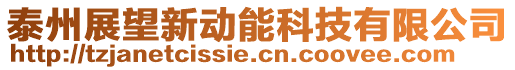 泰州展望新動(dòng)能科技有限公司