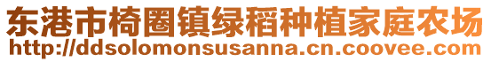 東港市椅圈鎮綠稻種植家庭農場