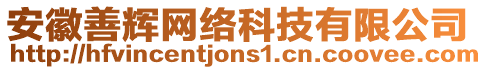 安徽善輝網(wǎng)絡(luò)科技有限公司