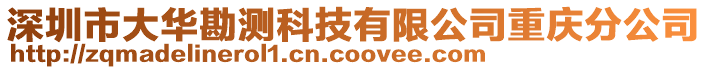 深圳市大華勘測科技有限公司重慶分公司