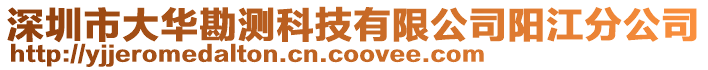 深圳市大华勘测科技有限公司阳江分公司