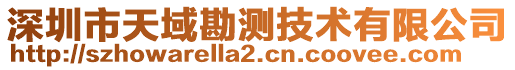 深圳市天域勘測技術(shù)有限公司