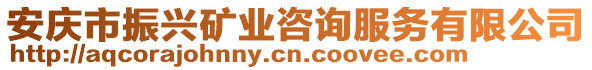 安庆市振兴矿业咨询服务有限公司