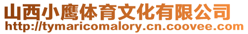 山西小鷹體育文化有限公司