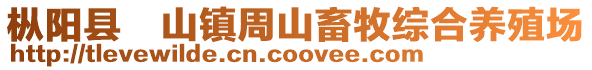 枞阳县山镇周山畜牧综合养殖场