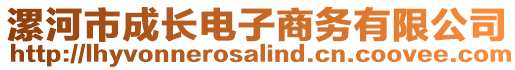 漯河市成長電子商務(wù)有限公司