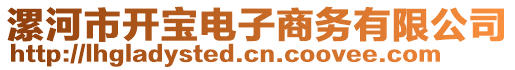 漯河市開寶電子商務(wù)有限公司