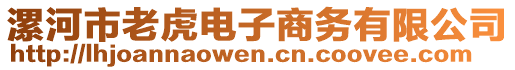 漯河市老虎电子商务有限公司