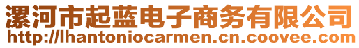 漯河市起藍(lán)電子商務(wù)有限公司