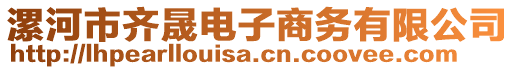 漯河市齊晟電子商務有限公司