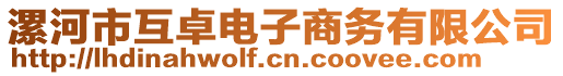 漯河市互卓電子商務(wù)有限公司