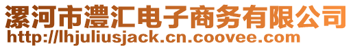 漯河市澧匯電子商務(wù)有限公司