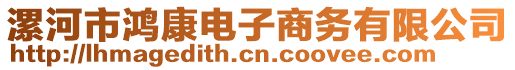 漯河市鴻康電子商務(wù)有限公司