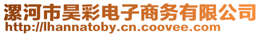 漯河市昊彩電子商務(wù)有限公司