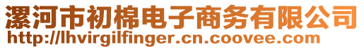 漯河市初棉電子商務(wù)有限公司