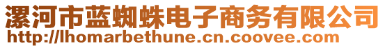 漯河市藍(lán)蜘蛛電子商務(wù)有限公司