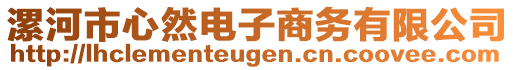 漯河市心然電子商務(wù)有限公司