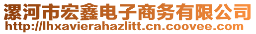 漯河市宏鑫電子商務有限公司
